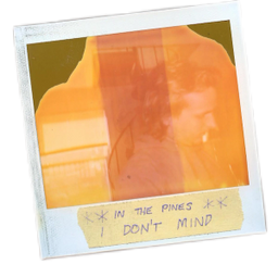 i don't mind polaroid